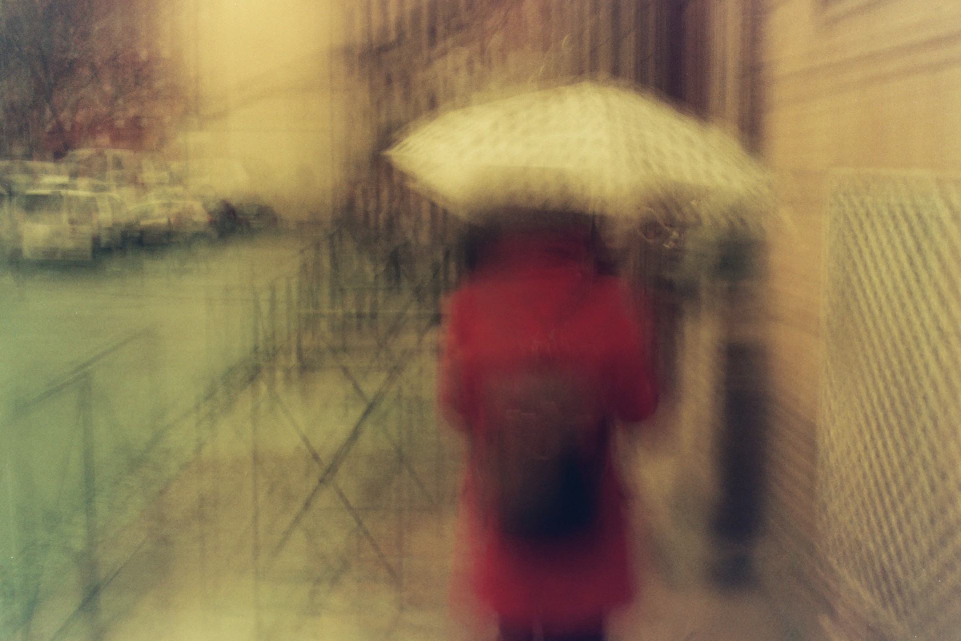 Rainy Day | Copyright © David Allen