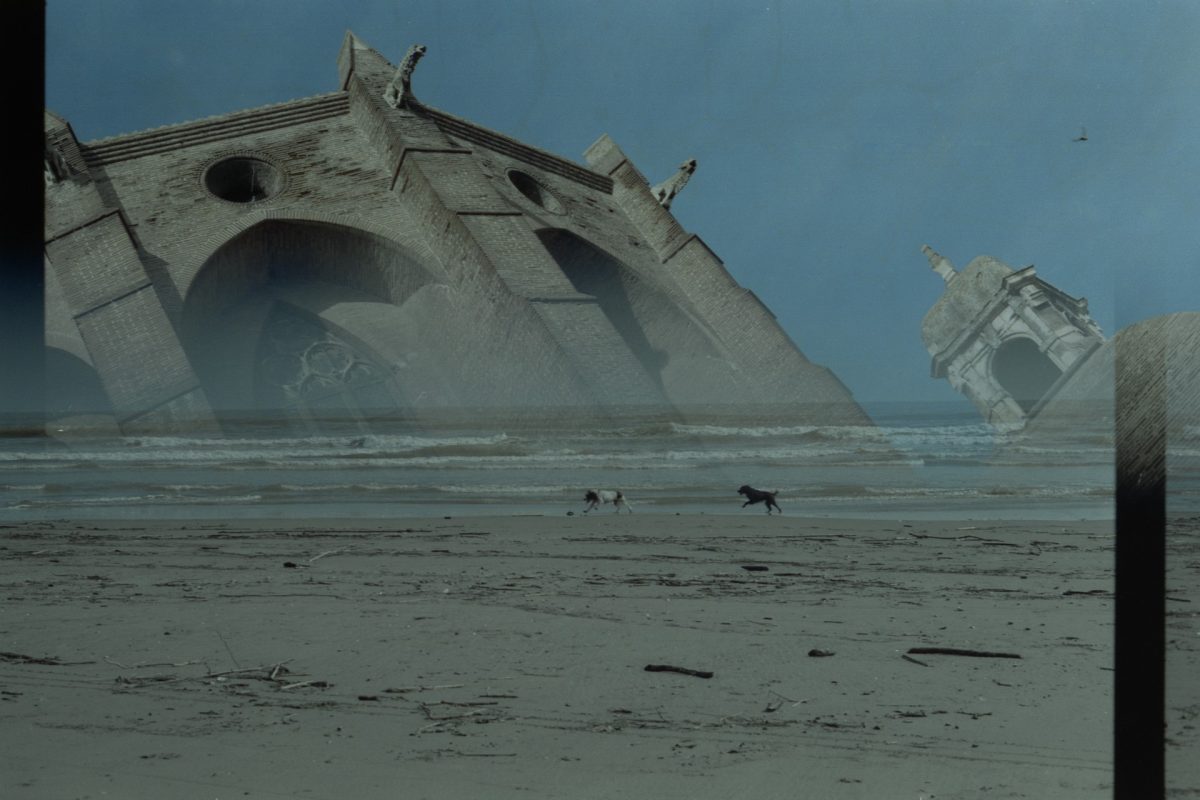 Reclamation - DSA Art | Photography